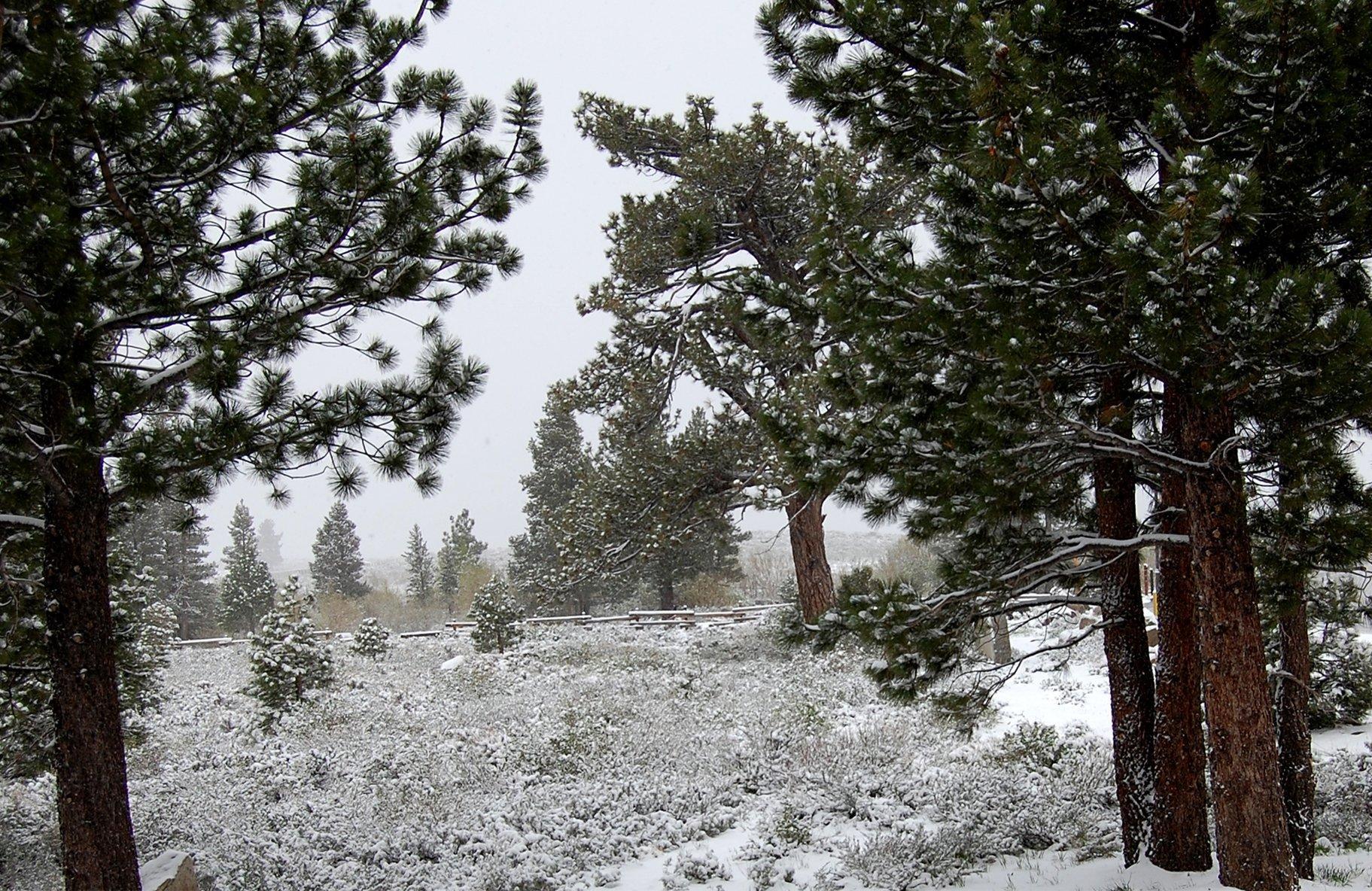 The Mammoth Creek Inn Mammoth Lakes Dış mekan fotoğraf