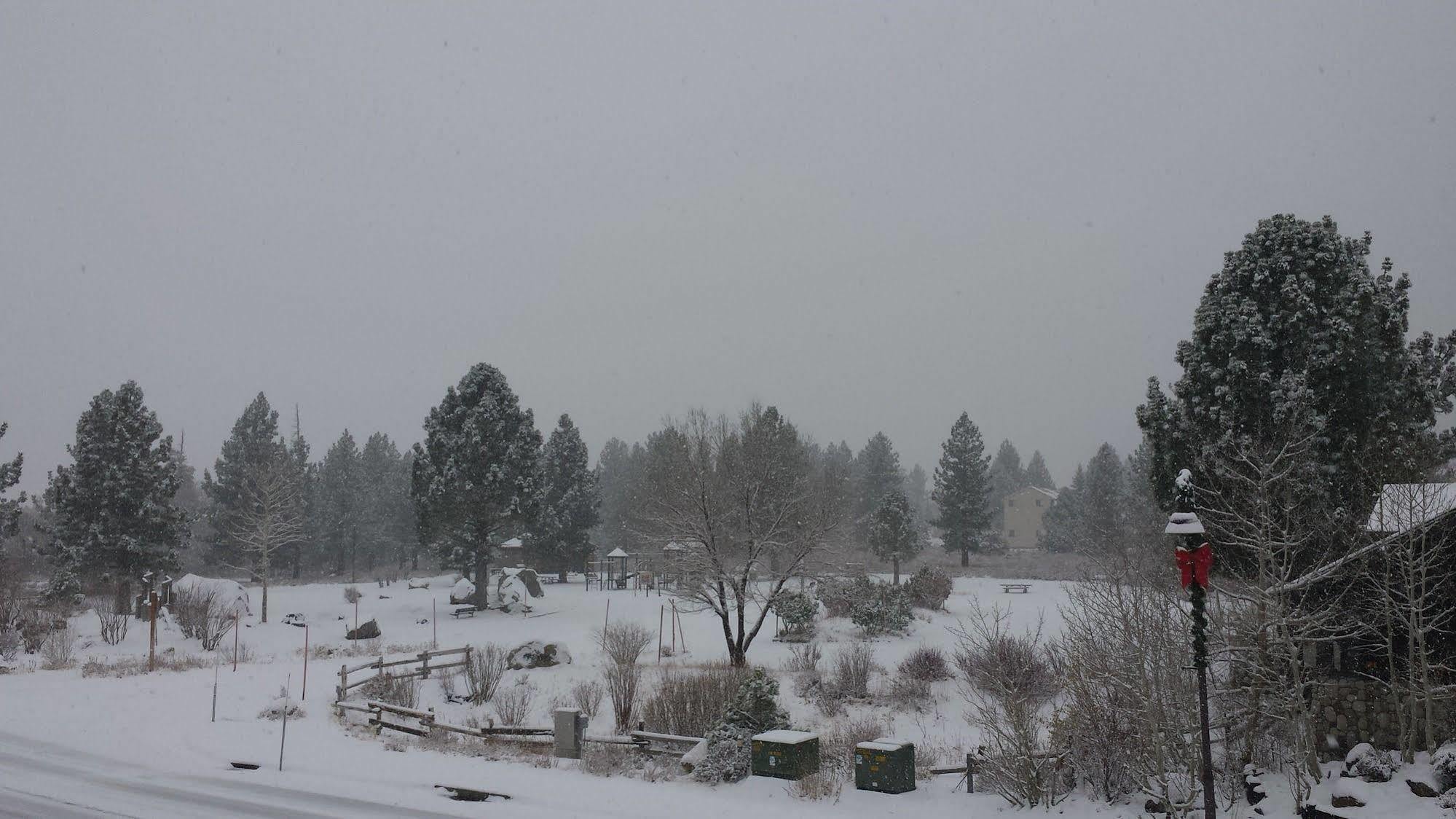 The Mammoth Creek Inn Mammoth Lakes Dış mekan fotoğraf